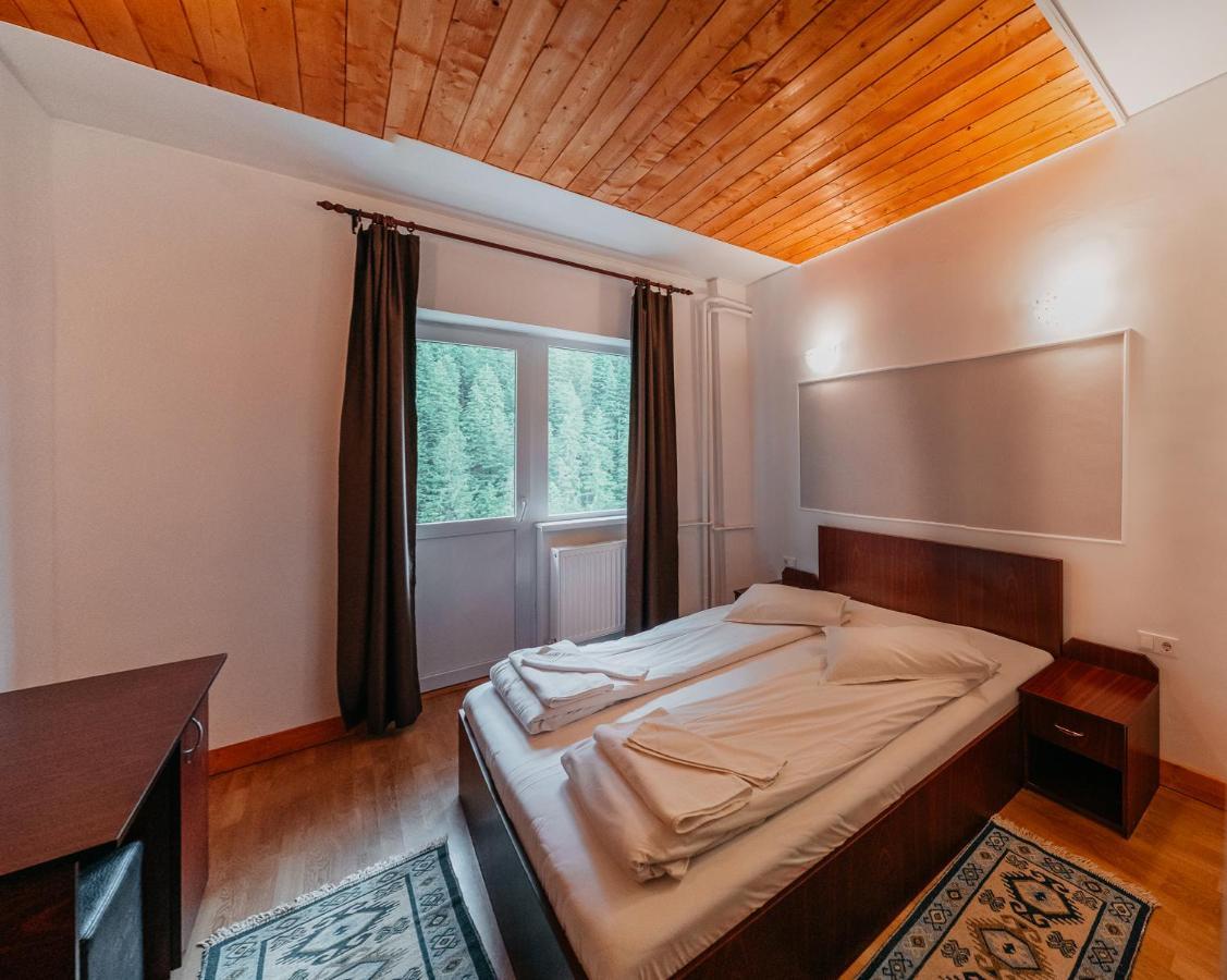 Balea Cascada Bed & Breakfast Cartisoara Exterior photo